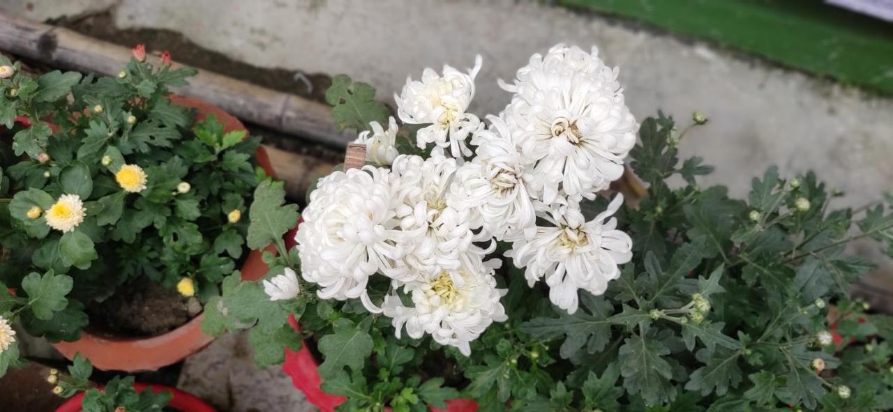 Kiran Kolkata