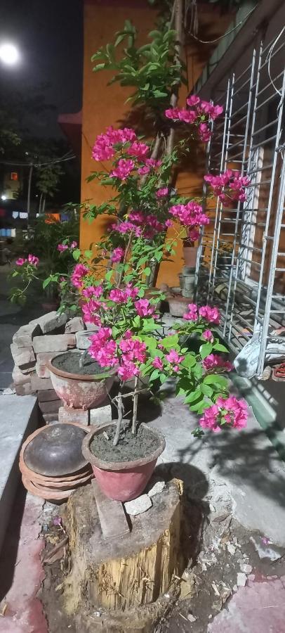 Guest house Kiran 2*