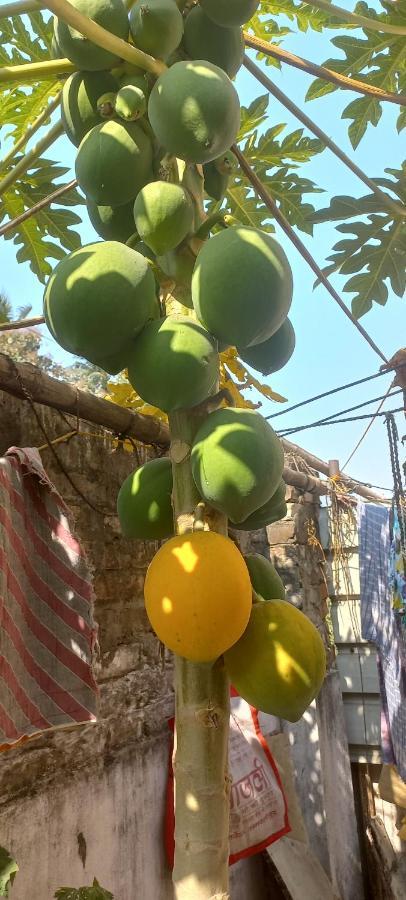 Guest house Kiran Kolkata
